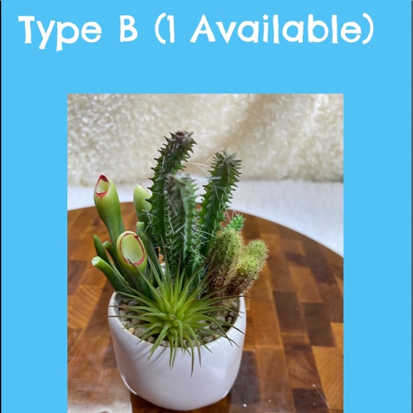 Faux succulents in 2.5”x3”H circular Pot (2 designs available). - Picture 6 of 9